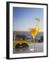 Tropical Drink at Hotel Cardoso, Maputo, Mozambique-Ian Trower-Framed Photographic Print