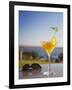 Tropical Drink at Hotel Cardoso, Maputo, Mozambique-Ian Trower-Framed Photographic Print