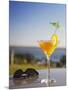 Tropical Drink at Hotel Cardoso, Maputo, Mozambique-Ian Trower-Mounted Photographic Print