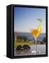 Tropical Drink at Hotel Cardoso, Maputo, Mozambique-Ian Trower-Framed Stretched Canvas