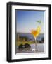 Tropical Drink at Hotel Cardoso, Maputo, Mozambique-Ian Trower-Framed Photographic Print