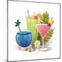 Tropical Drink IV-Julie Goonan-Mounted Giclee Print