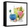 Tropical Drink IV-Julie Goonan-Framed Stretched Canvas