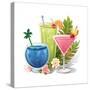 Tropical Drink IV-Julie Goonan-Stretched Canvas