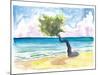 Tropical Eagle Beach in Aruba Dutch Caribbean-M. Bleichner-Mounted Art Print