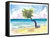 Tropical Eagle Beach in Aruba Dutch Caribbean-M. Bleichner-Framed Stretched Canvas