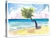 Tropical Eagle Beach in Aruba Dutch Caribbean-M. Bleichner-Stretched Canvas