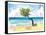 Tropical Eagle Beach in Aruba Dutch Caribbean-M. Bleichner-Framed Stretched Canvas