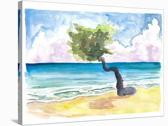 Tropical Eagle Beach in Aruba Dutch Caribbean-M. Bleichner-Stretched Canvas