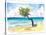 Tropical Eagle Beach in Aruba Dutch Caribbean-M. Bleichner-Stretched Canvas