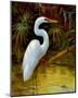 Tropical Egret I-Kilian-Mounted Art Print