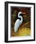 Tropical Egret I-Kilian-Framed Art Print