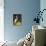 Tropical Egret I-Kilian-Premium Giclee Print displayed on a wall