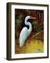 Tropical Egret I-Kilian-Framed Premium Giclee Print