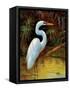 Tropical Egret I-Kilian-Framed Stretched Canvas