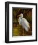 Tropical Egret II-Kilian-Framed Art Print