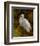 Tropical Egret II-Kilian-Framed Art Print