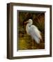 Tropical Egret II-Kilian-Framed Art Print