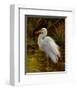 Tropical Egret II-Kilian-Framed Art Print