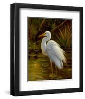 Tropical Egret II-Kilian-Framed Art Print