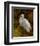 Tropical Egret II-Kilian-Framed Art Print