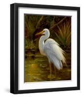 Tropical Egret II-Kilian-Framed Art Print