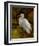 Tropical Egret II-Kilian-Framed Art Print