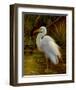 Tropical Egret II-Kilian-Framed Art Print