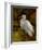 Tropical Egret II-Kilian-Framed Art Print