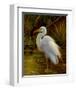 Tropical Egret II-Kilian-Framed Art Print