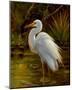 Tropical Egret II-Kilian-Mounted Art Print
