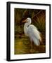 Tropical Egret II-Kilian-Framed Art Print