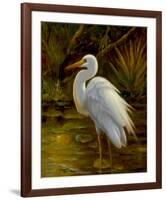 Tropical Egret II-Kilian-Framed Art Print