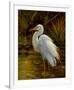 Tropical Egret II-Kilian-Framed Art Print