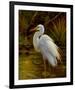 Tropical Egret II-Kilian-Framed Art Print