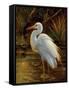 Tropical Egret II-Kilian-Framed Stretched Canvas