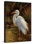 Tropical Egret II-Kilian-Stretched Canvas