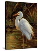 Tropical Egret II-Kilian-Stretched Canvas