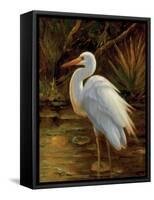 Tropical Egret II-Kilian-Framed Stretched Canvas