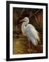 Tropical Egret II-Kilian-Framed Art Print