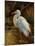 Tropical Egret II-Kilian-Mounted Art Print