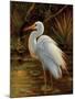 Tropical Egret II-Kilian-Mounted Art Print