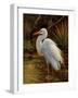 Tropical Egret II-Kilian-Framed Art Print