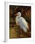 Tropical Egret II-Kilian-Framed Premium Giclee Print