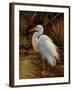 Tropical Egret II-Kilian-Framed Premium Giclee Print