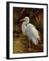 Tropical Egret II-Kilian-Framed Premium Giclee Print