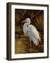 Tropical Egret II-Kilian-Framed Premium Giclee Print