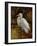 Tropical Egret II-Kilian-Framed Premium Giclee Print