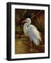 Tropical Egret II-Kilian-Framed Premium Giclee Print