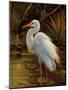 Tropical Egret II-Kilian-Mounted Premium Giclee Print